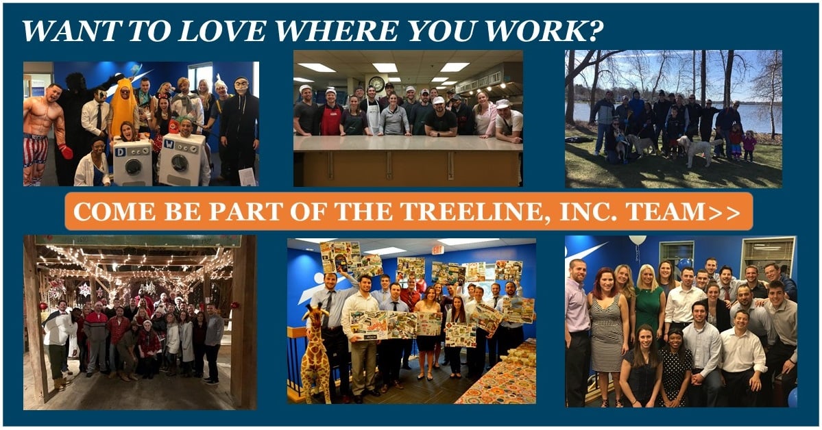 Treeline Inc - Best Places to Work - Sales Recruiters