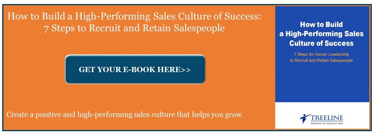 How to Build a Sales Culture of Success E-Book