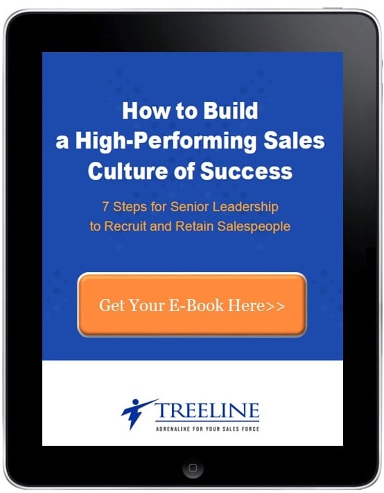 Sales Culture of Success E-Book